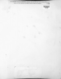 Image of Hyponectria contecta